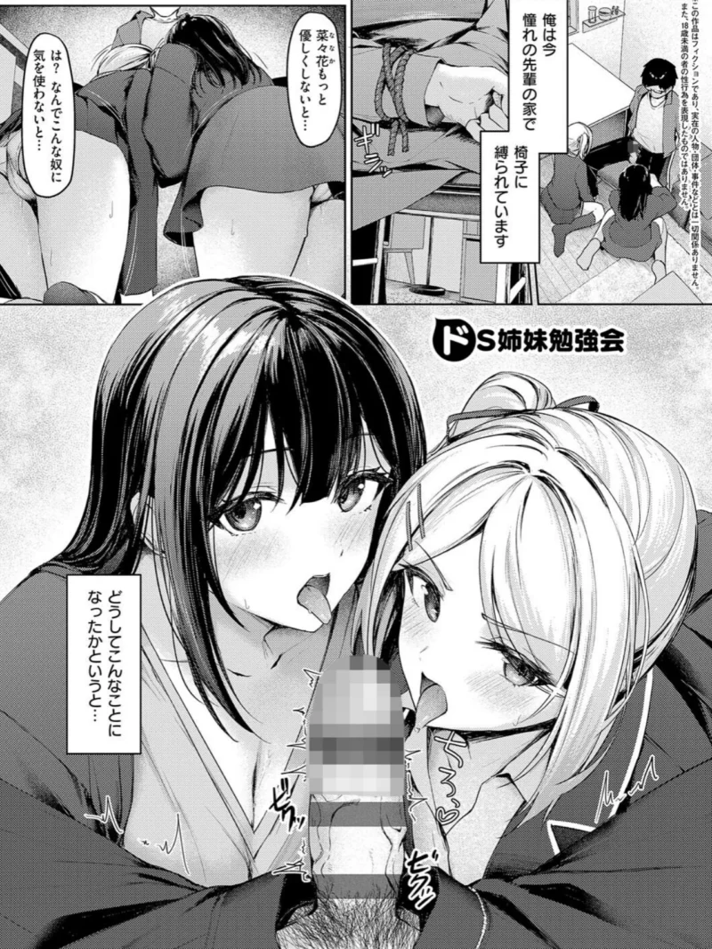 sample 24