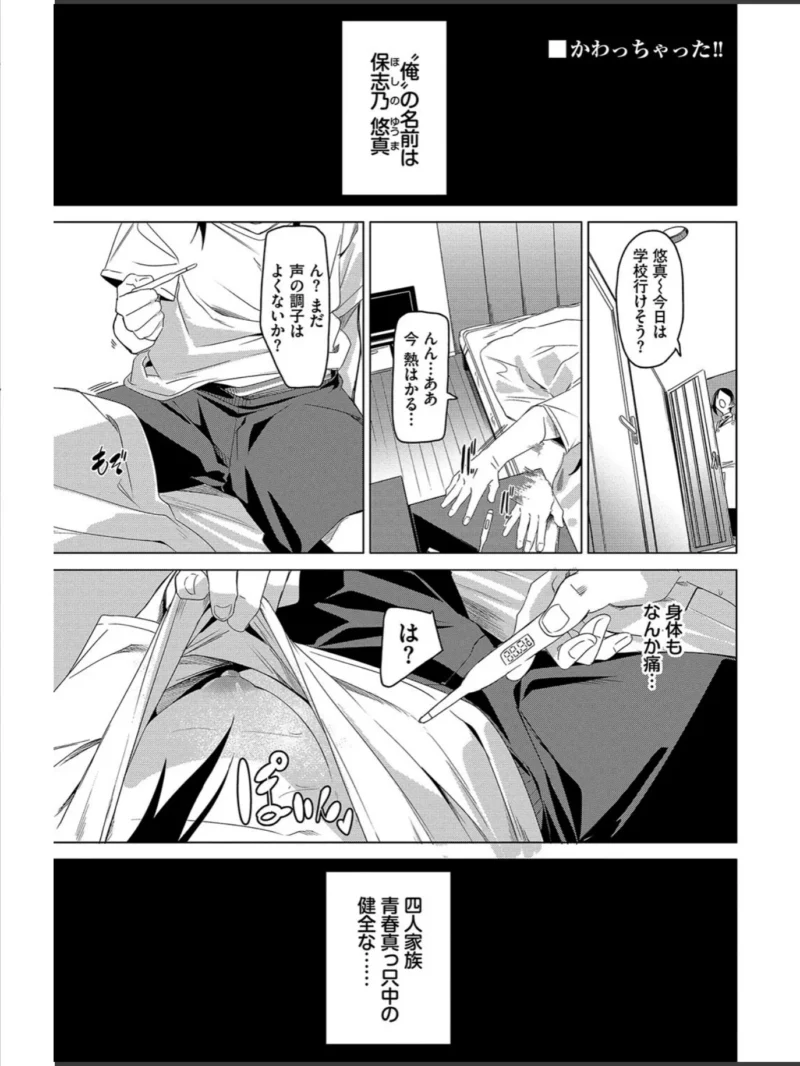 sample 29