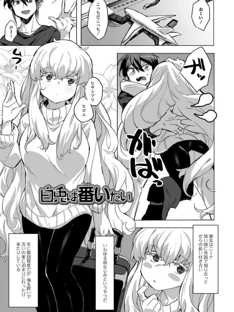 sample 5