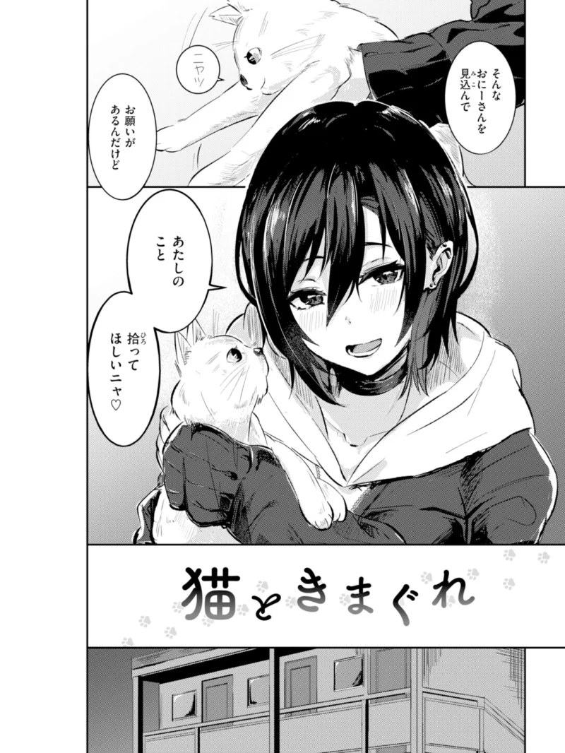sample 12