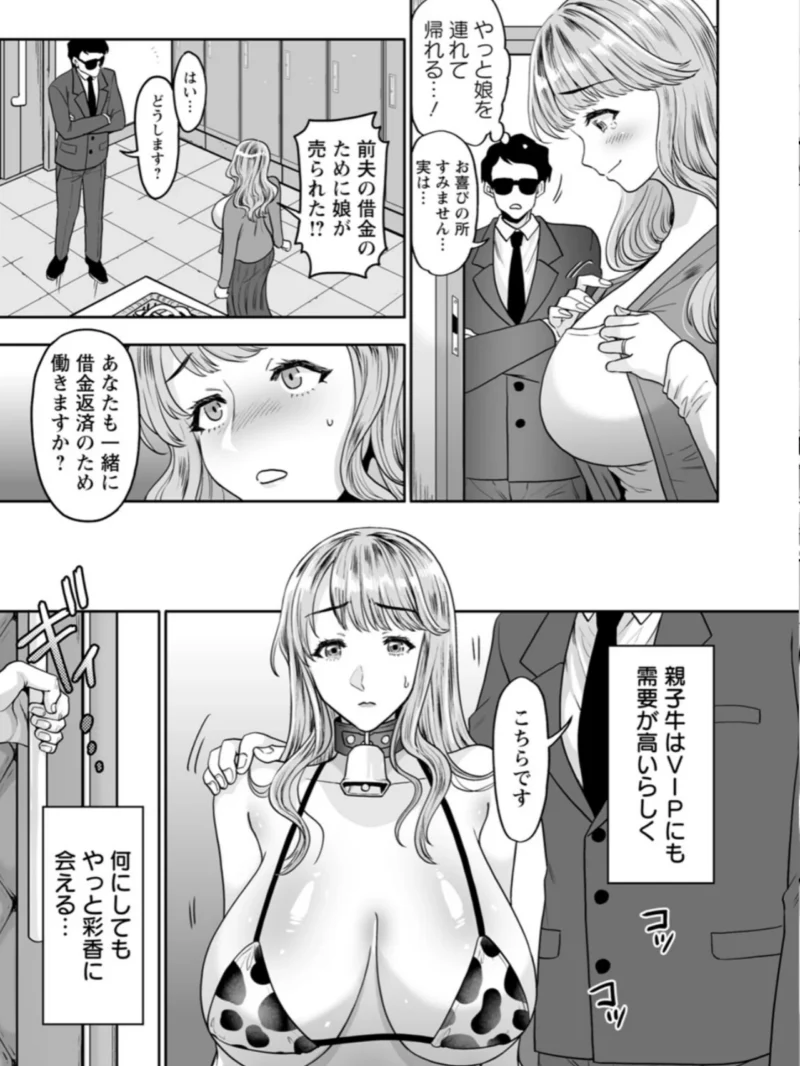 sample 24