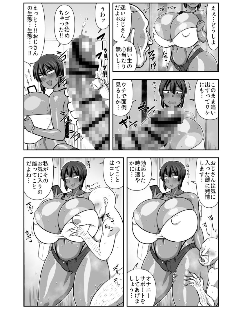 sample 3