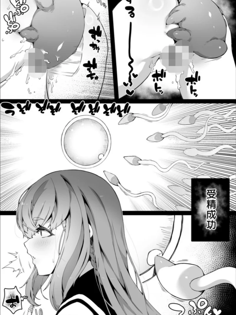 sample 26