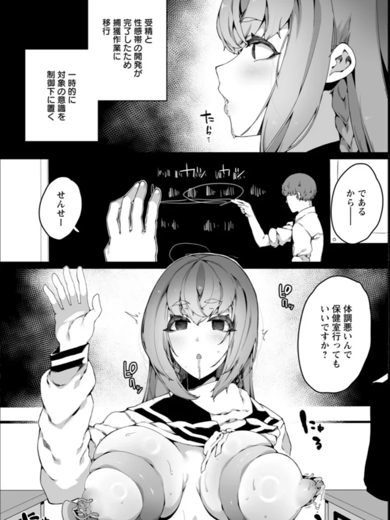 sample 27