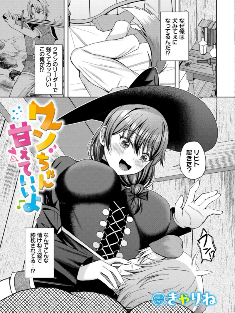 sample 27