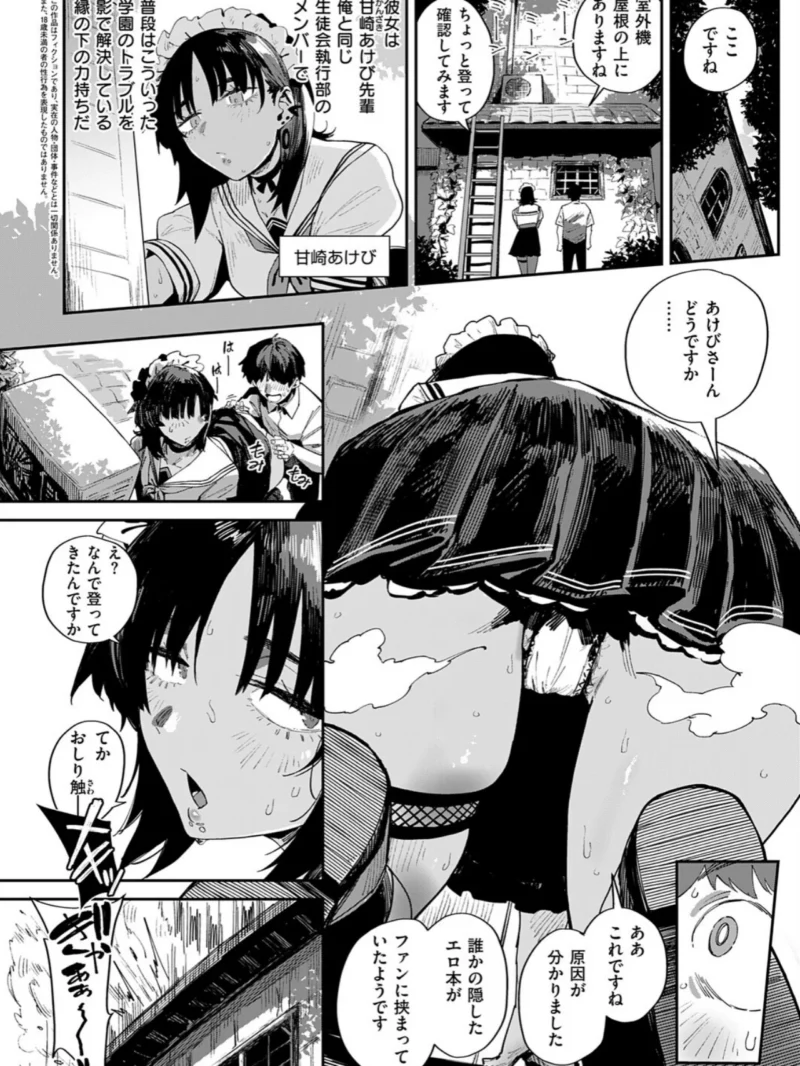 sample 3