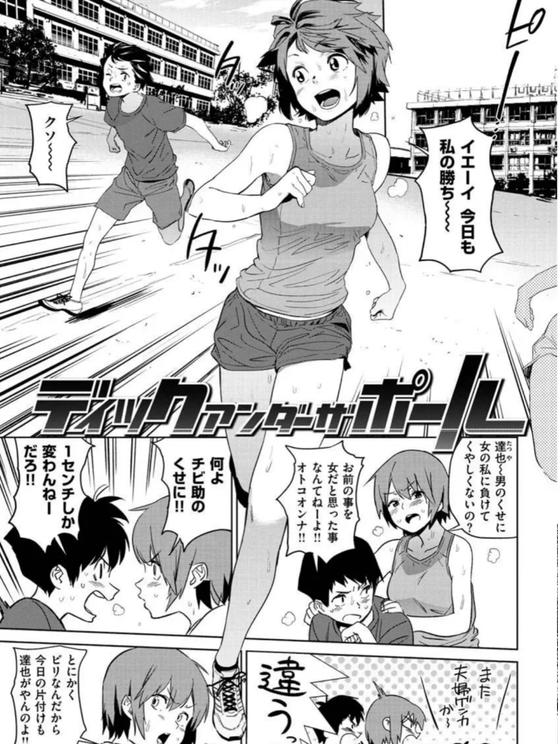 sample 15