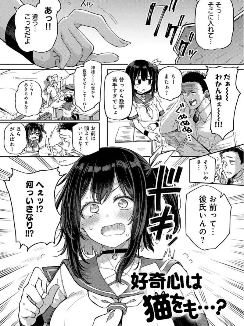sample 16