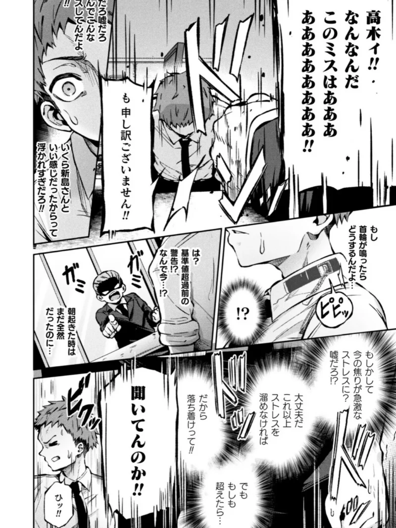 sample 4