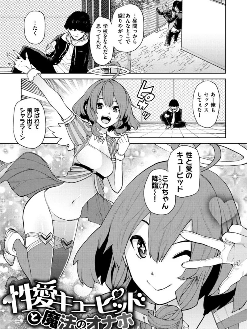 sample 17