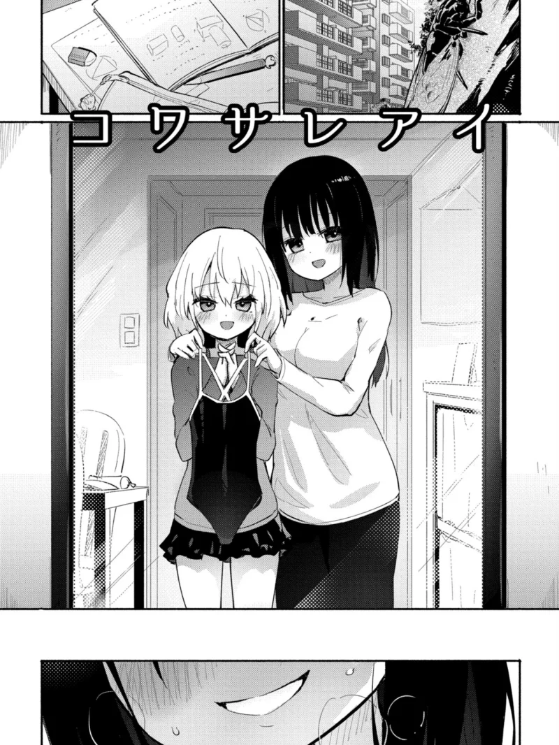 sample 27