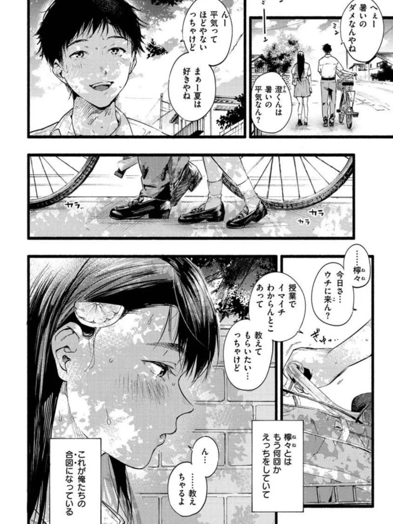 sample 6