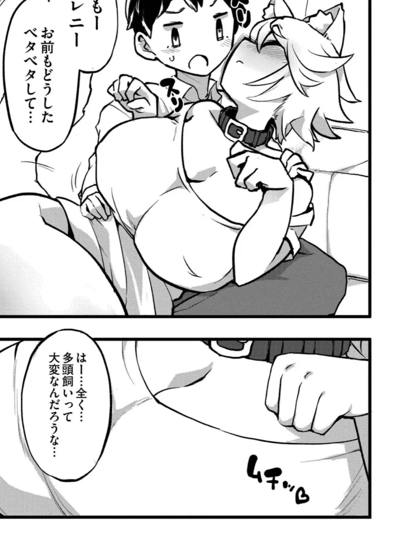 sample 20