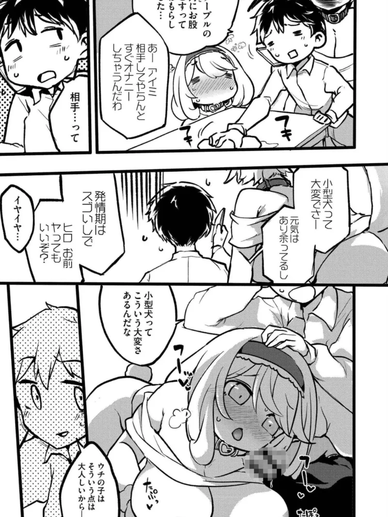 sample 22