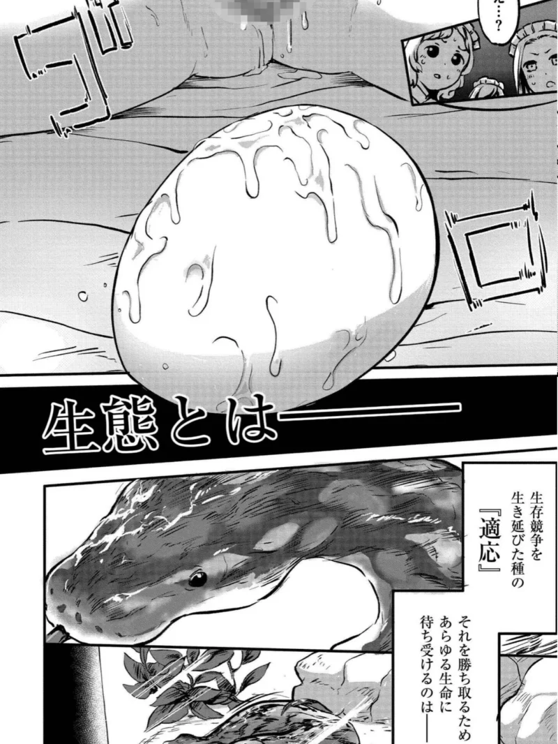 sample 24