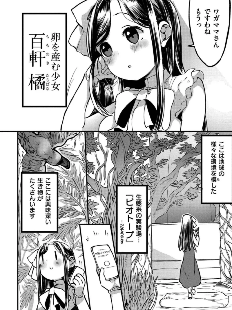 sample 26