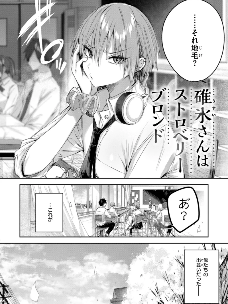 sample 4