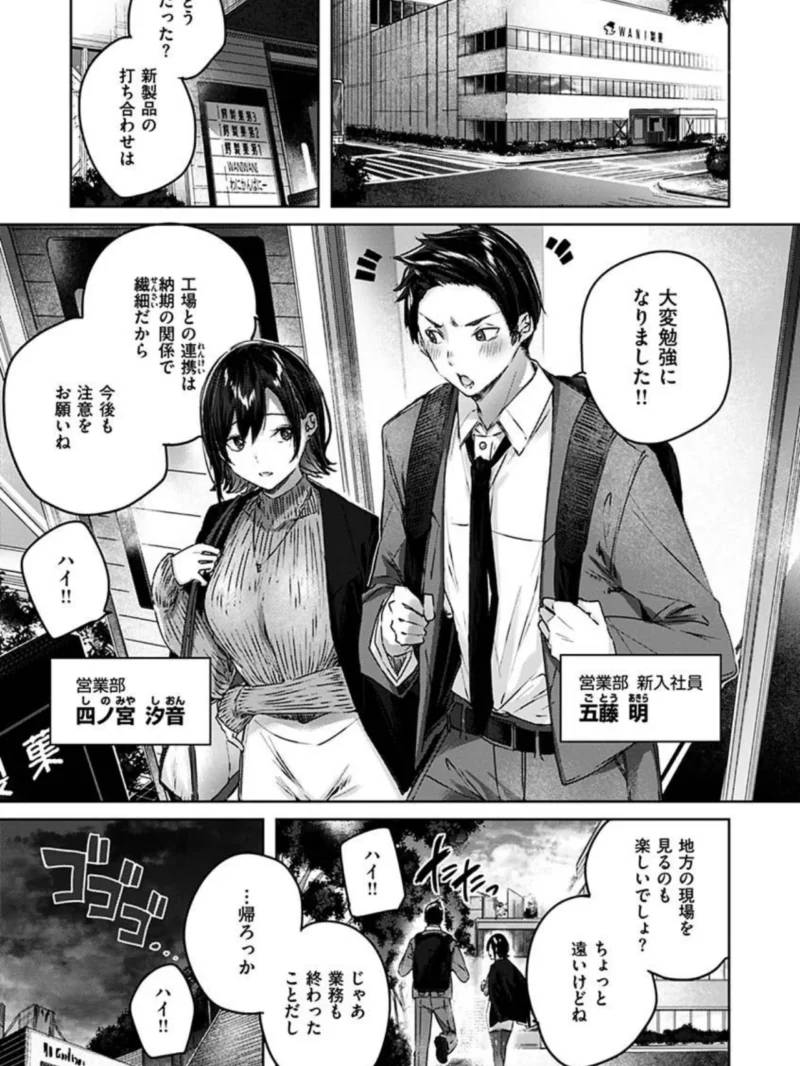 sample 13