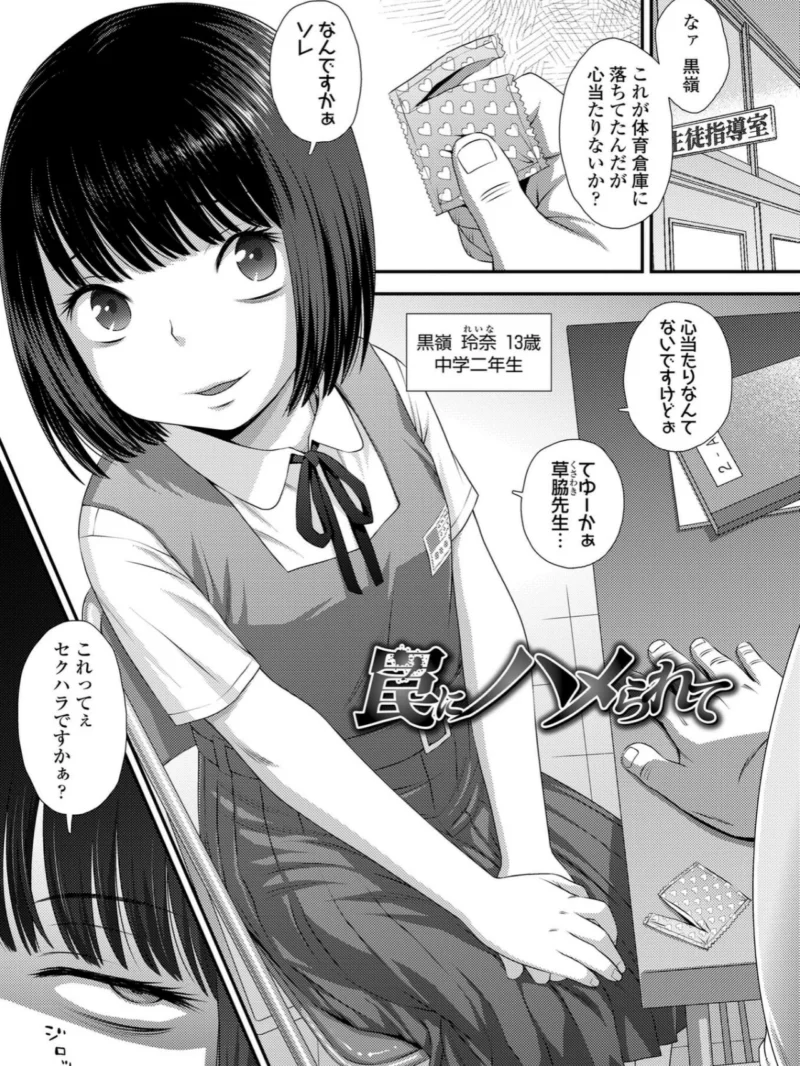 sample 11