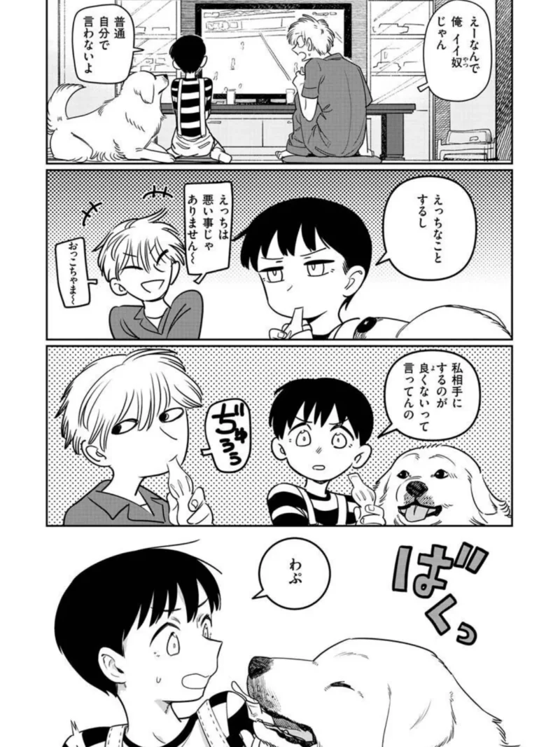 君は性春期（シャモナベ） のサンプル画像31