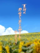 夏休み、都会から来たお姉ちゃんと中出しごっこ｜くすりゆび