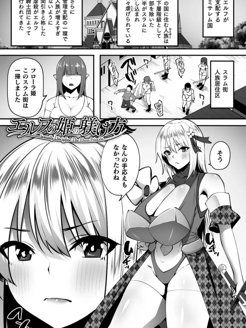 淫堕の黒衣（すかいれーだー） のサンプル画像9
