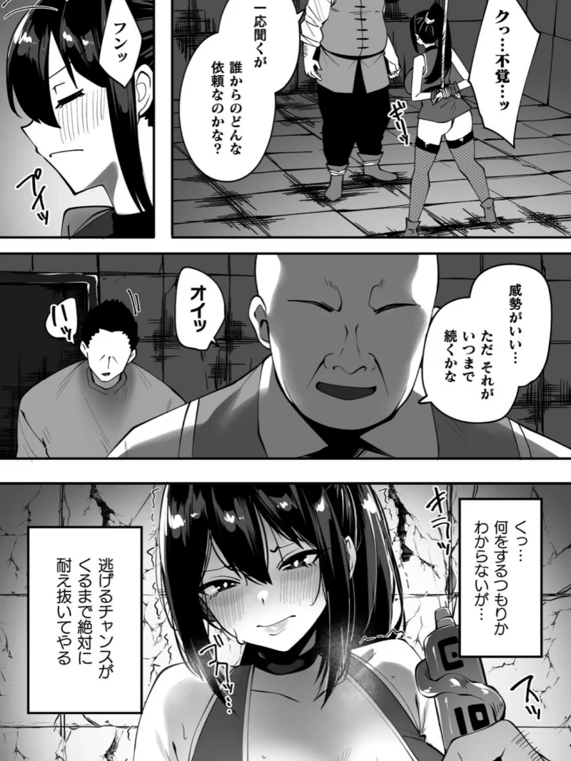 淫堕の黒衣（すかいれーだー） のサンプル画像18