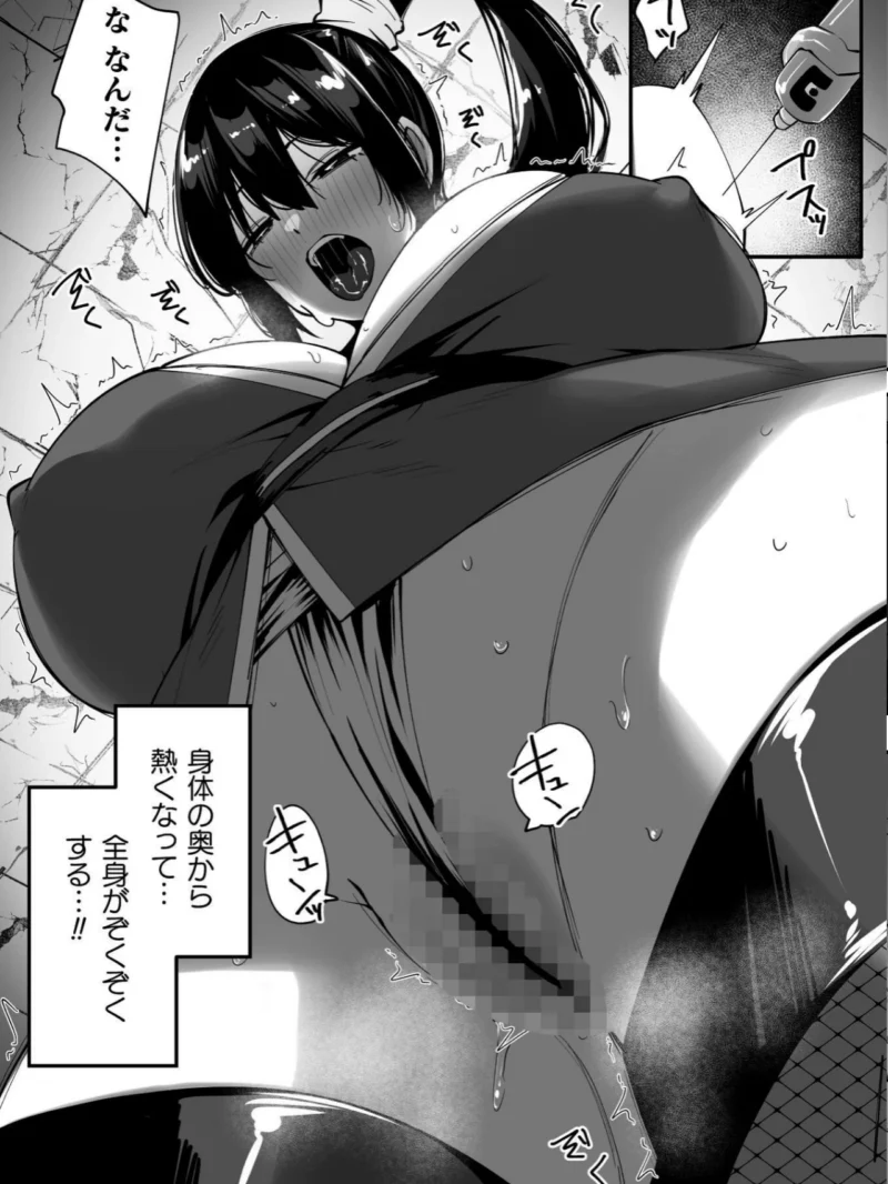 淫堕の黒衣（すかいれーだー） のサンプル画像19