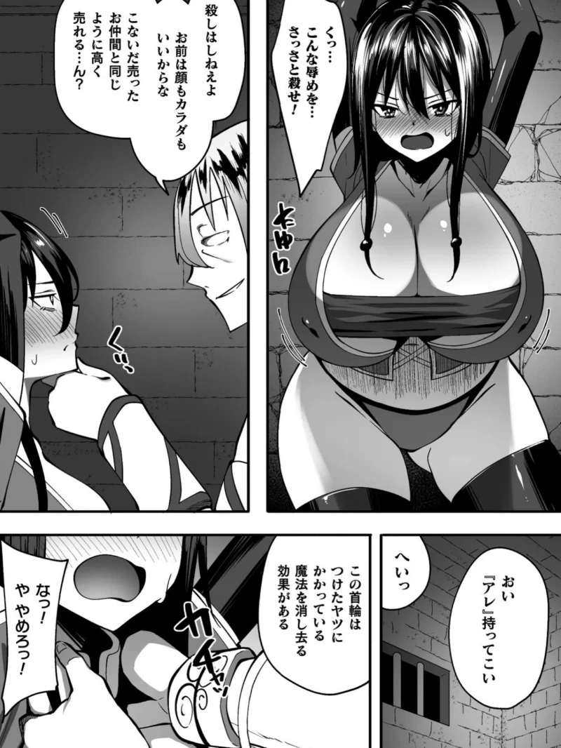 淫堕の黒衣（すかいれーだー） のサンプル画像25