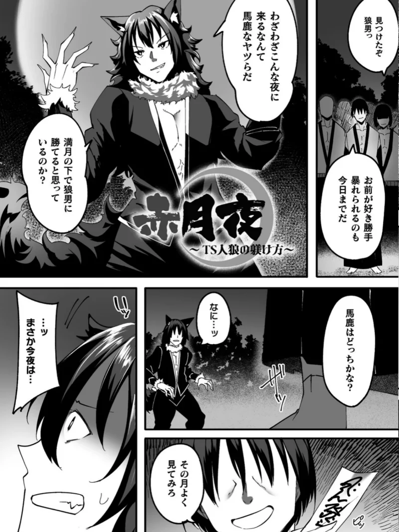 淫堕の黒衣（すかいれーだー） のサンプル画像31