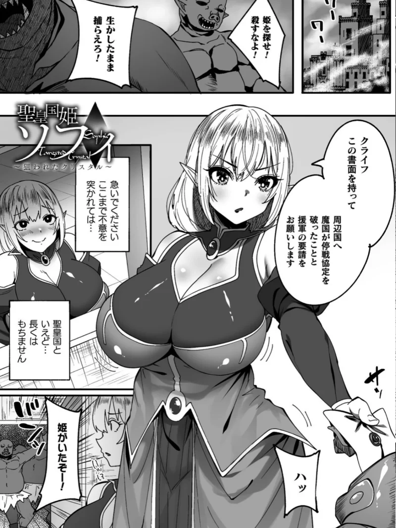 淫堕の黒衣（すかいれーだー） のサンプル画像39
