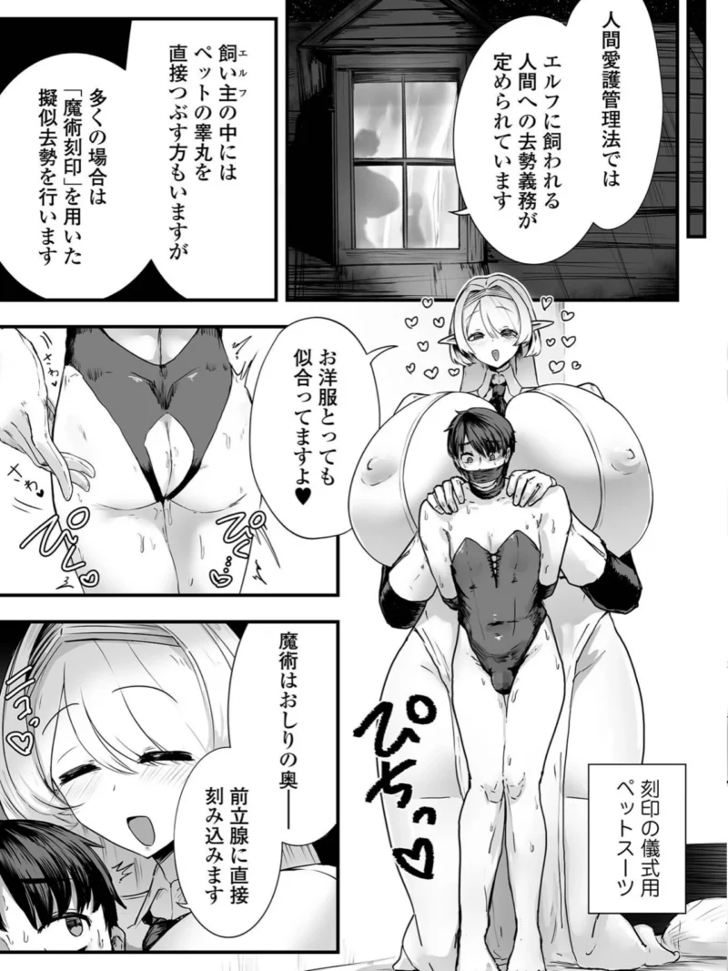 デカジョ！ vol.13（泉たいち） のサンプル画像17