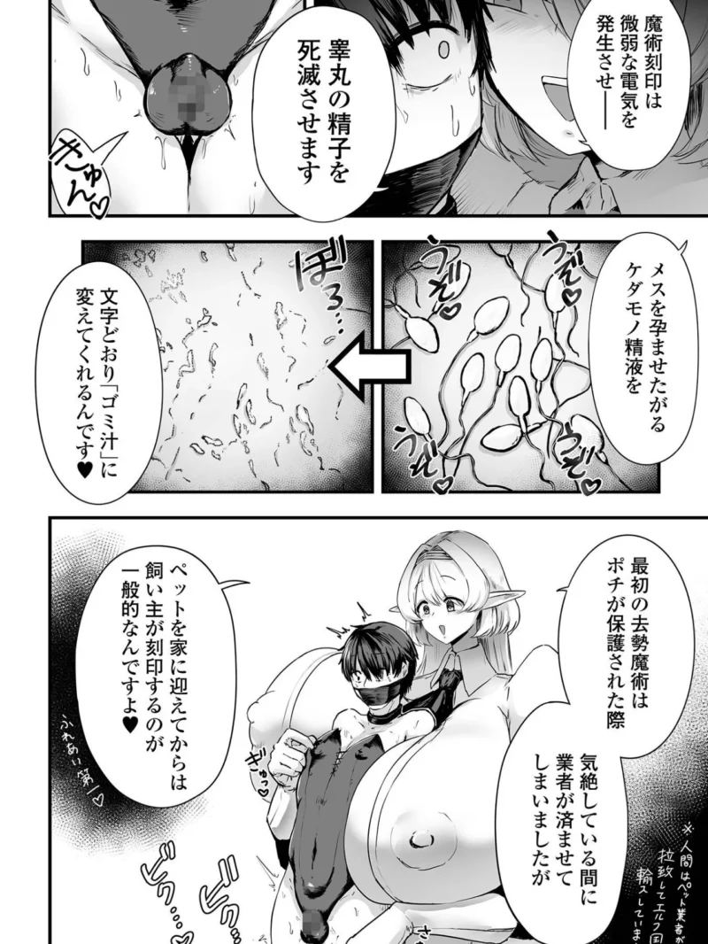 デカジョ！ vol.13（泉たいち） のサンプル画像18