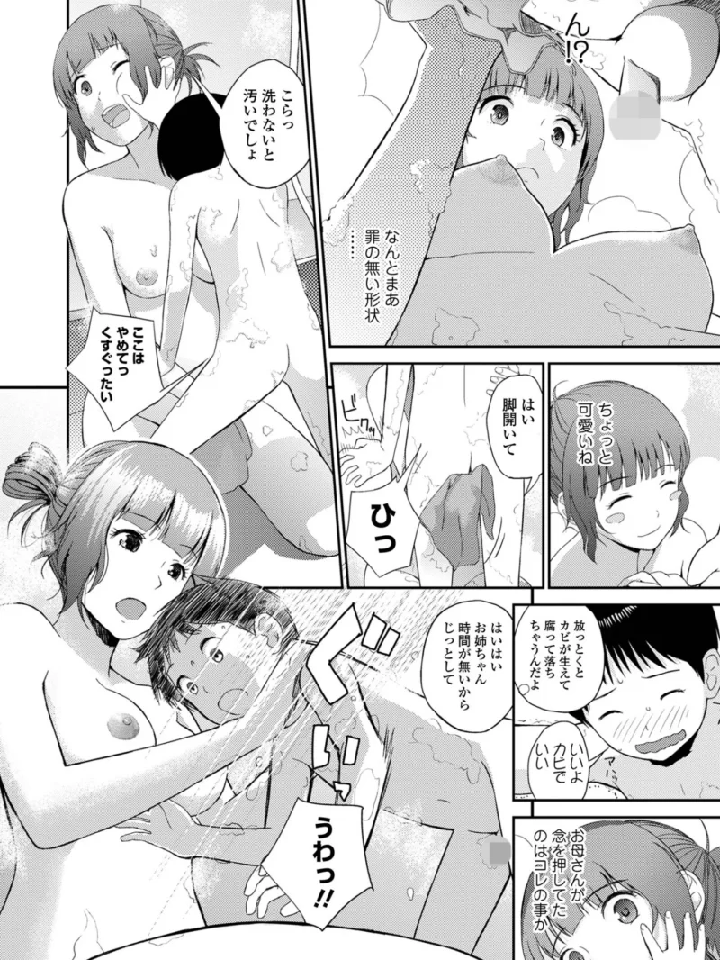 お姉ちゃんのナカ 増補新装版（吉田鳶牡） のサンプル画像25
