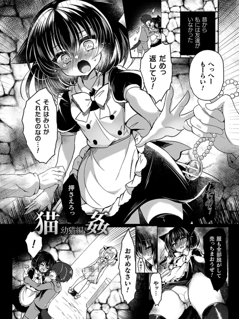 乙女姦落（鈴音れな） のサンプル画像9