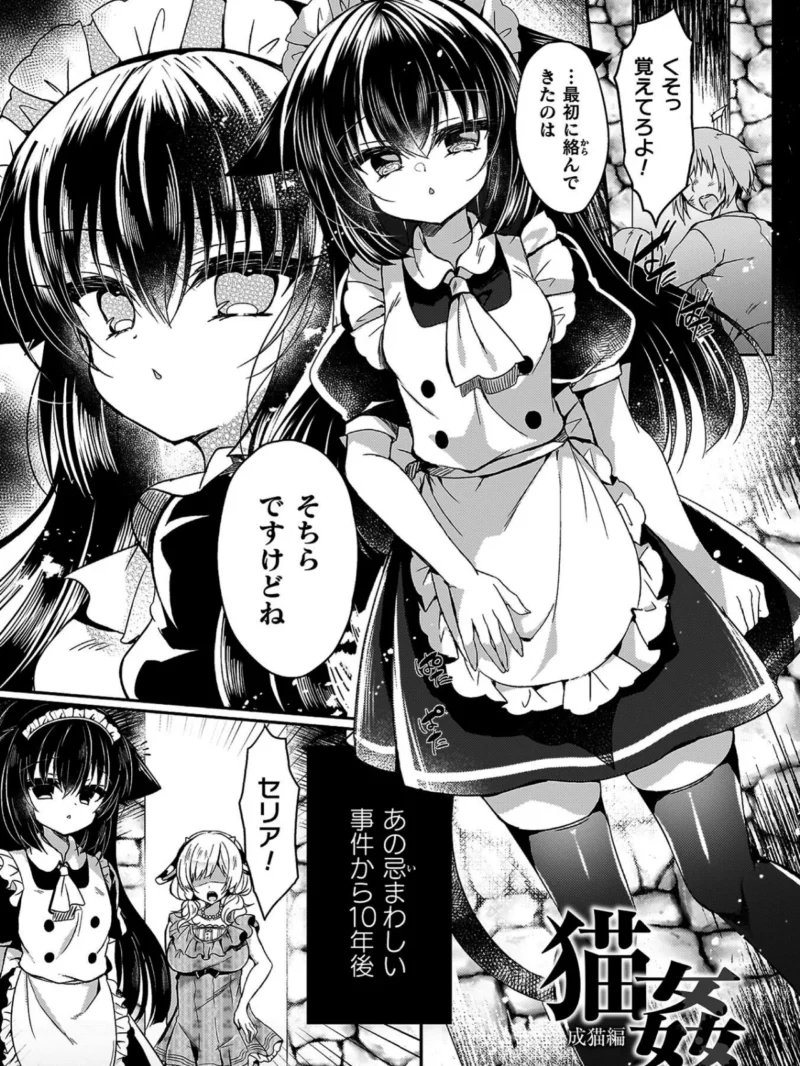 乙女姦落（鈴音れな） のサンプル画像15
